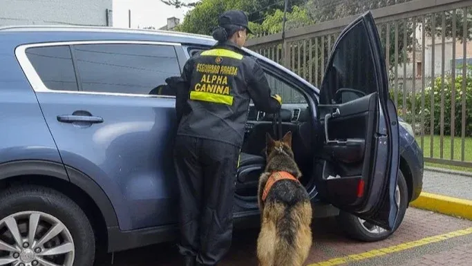 Binomio canino Alpha en operacion